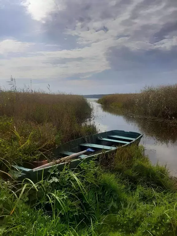 Дом в Псковская область, Островский район, Бережанская волость, д. ... - Фото 2