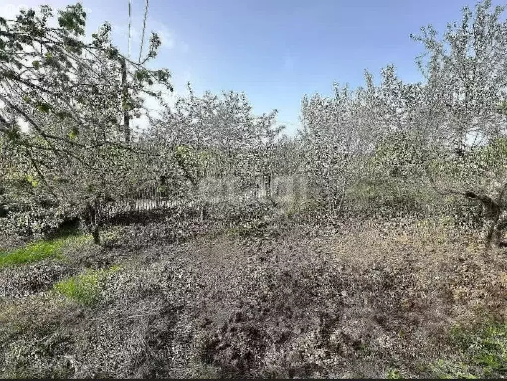 Дом в Саратов, 26-й Загородный проезд (25 м) - Фото 2