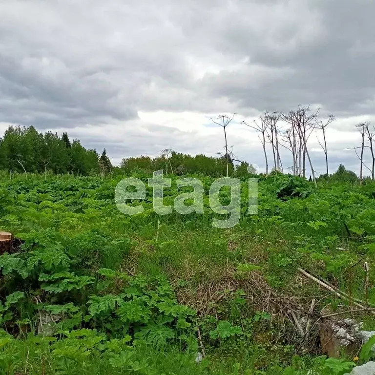 Участок в Коми, Сыктывдинский район, с. Выльгорт  (11.0 сот.) - Фото 0