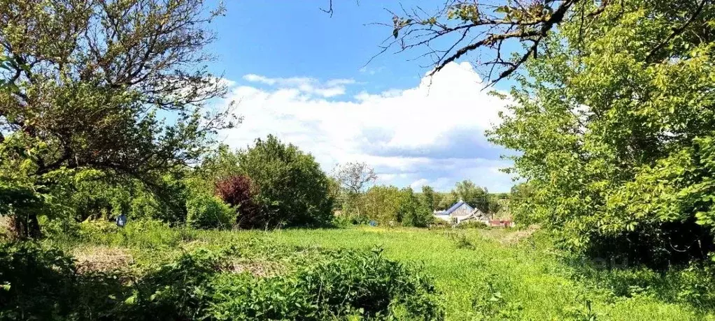 Участок в Краснодарский край, Анапа муниципальный округ, Уташ хут. ... - Фото 1