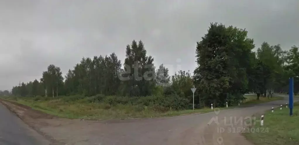 Участок в Брянская область, Карачев  (511.0 сот.) - Фото 1