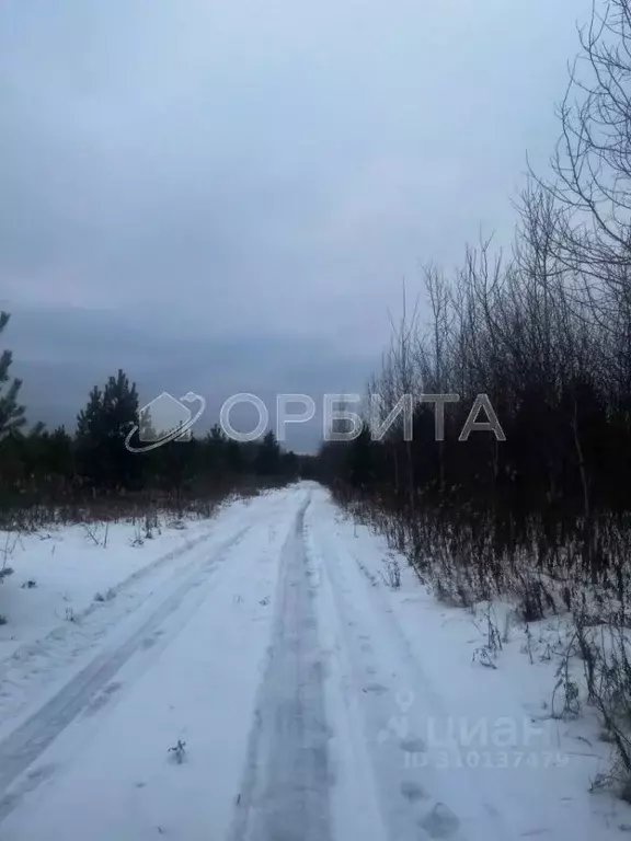 Участок в Тюменская область, Тюменский район, с. Горьковка Сибирская ... - Фото 1