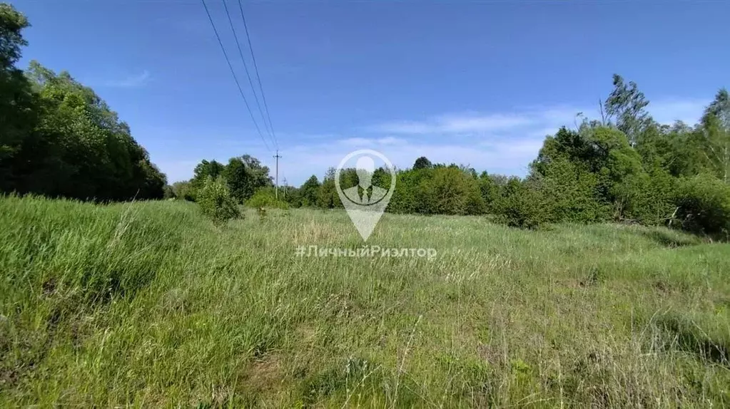 Участок в Рязанская область, Михайловский муниципальный округ, д. ... - Фото 1