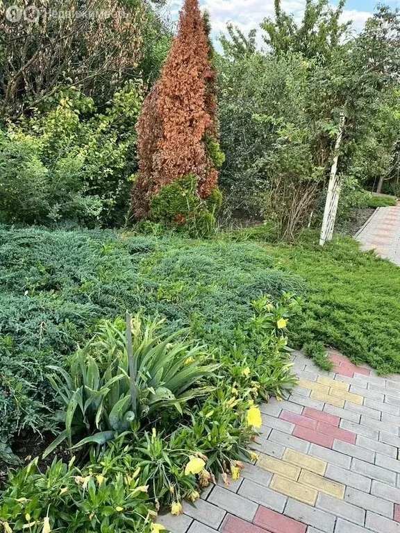 Дом в Краснодар, СНТ КСТ-2, Огуречная улица, 228 (20 м) - Фото 0