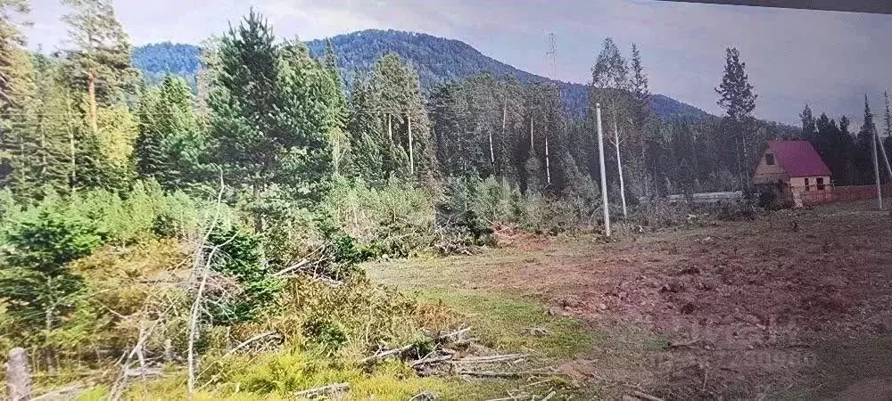 Участок в Алтай, Турочакский район, с. Турочак ул. Ключевая, 33 (10.0 ... - Фото 1