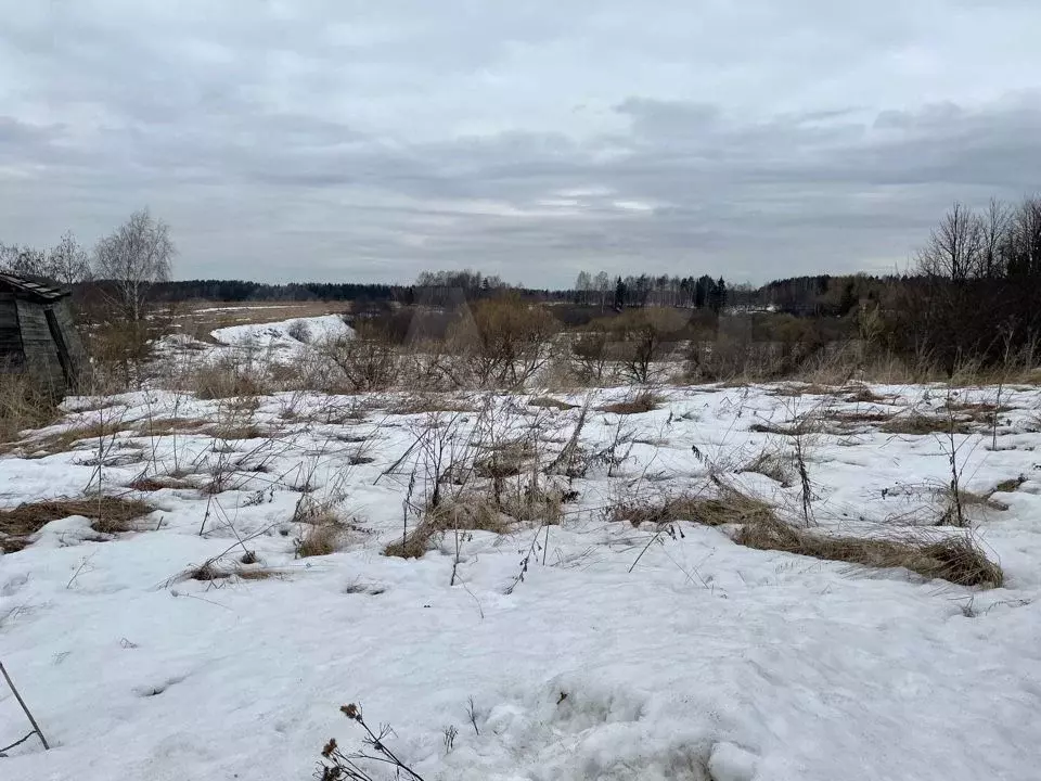 Земельные участки в александровской. Акимка деревня. Светлый поселок км. Земельные участки в александровской. Земельные участки в александровской.