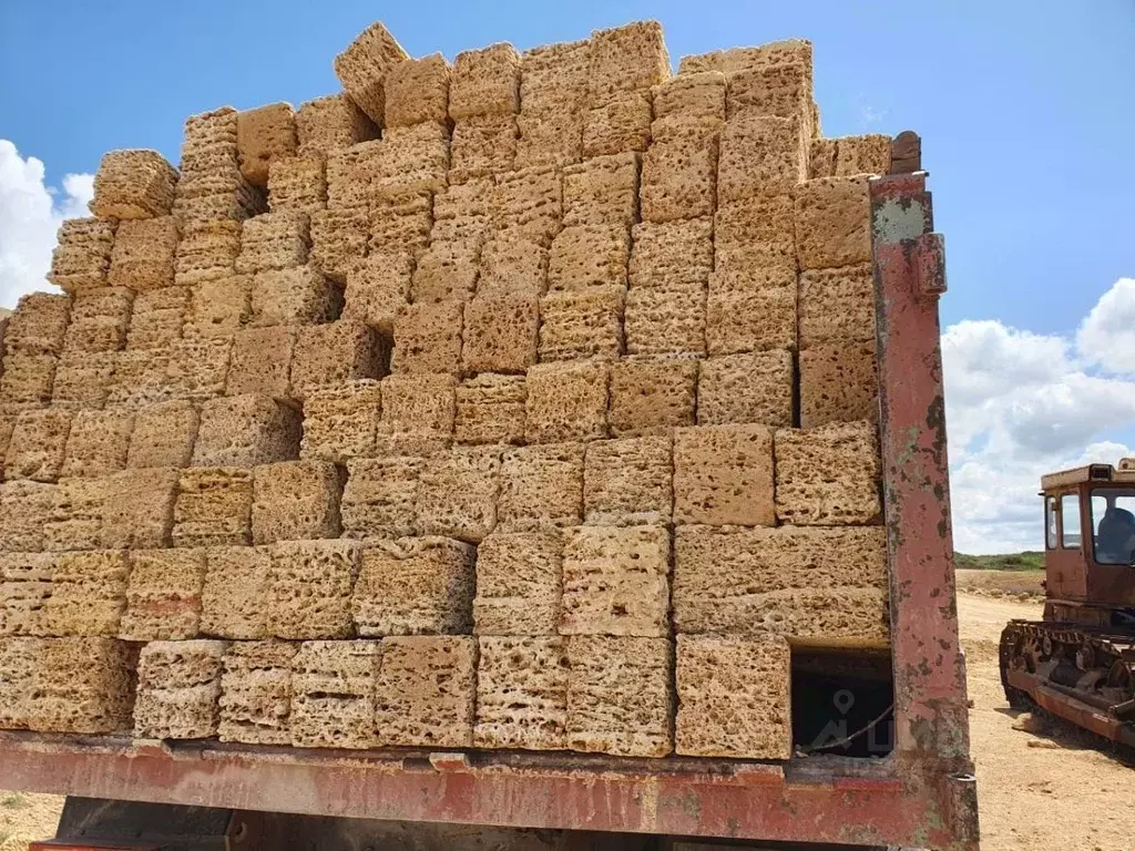 Производственное помещение в Крым, Сакский район, Охотниковское с/пос, ... - Фото 1