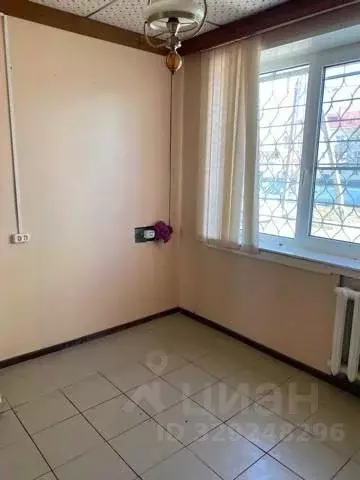 Помещение свободного назначения в Ленинградская область, Приозерский ... - Фото 1