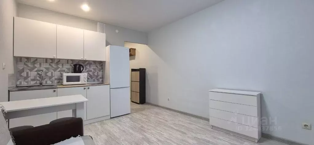 Студия Ленинградская область, Мурино Всеволожский район, просп. ... - Фото 2