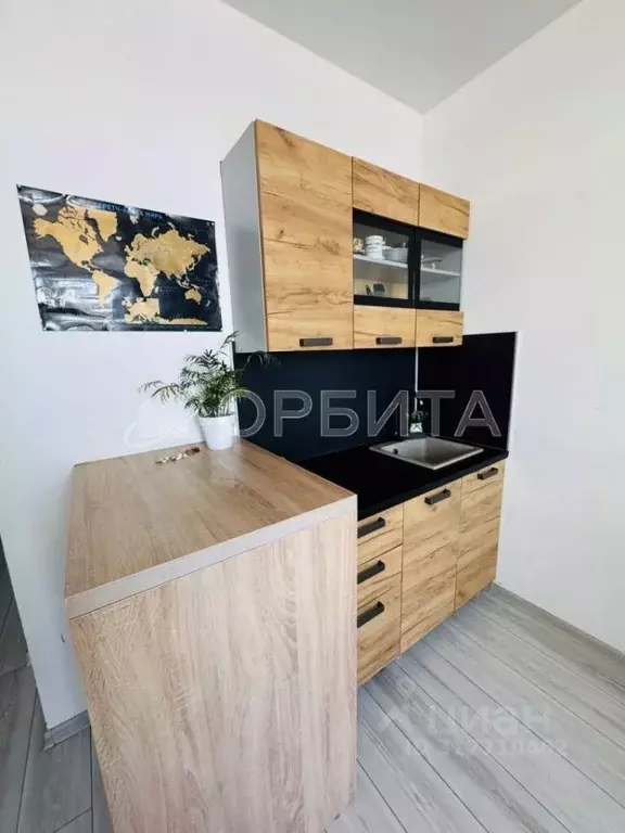 Студия Тюменская область, Тюмень ул. Александра Протозанова, 4 (19.0 ... - Фото 0