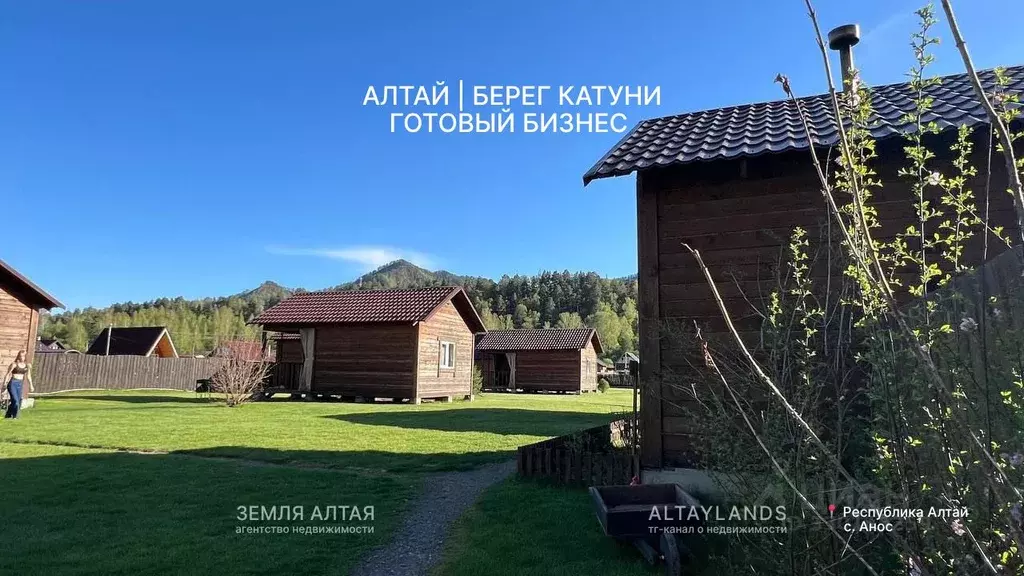 Участок в Алтай, Чемальский район, с. Анос ул. Грушевая, 3 (65.0 сот.) - Фото 1