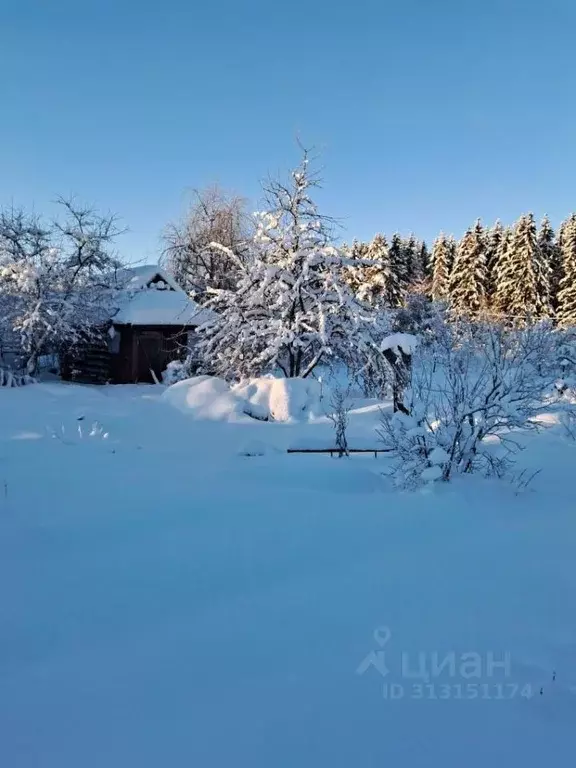 Дом в Ленинградская область, Гатчинский район, пос. Сусанино 2-я линия ... - Фото 1