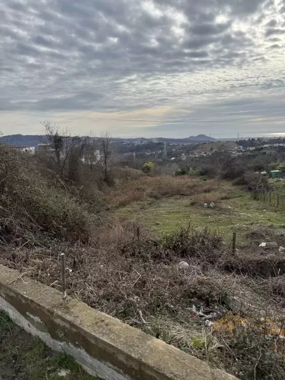 Участок в Краснодарский край, Сочи городской округ, с. Черешня ул. ... - Фото 1