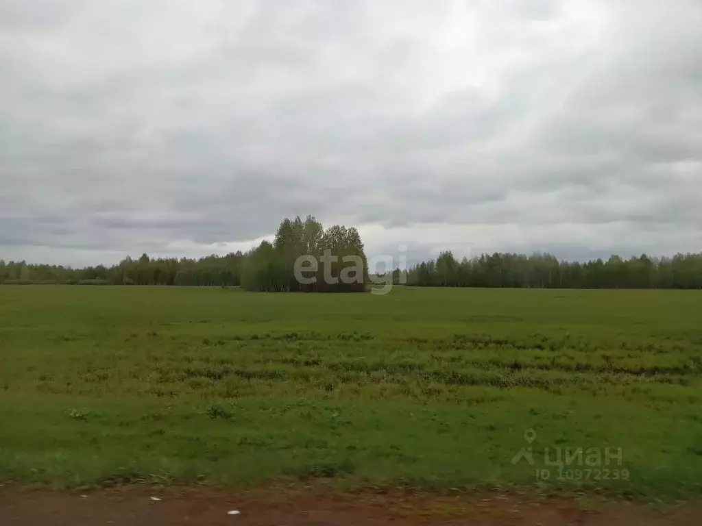 Участок в Башкортостан, Ишимбайский район, Ишеевский сельсовет, д. ... - Фото 0