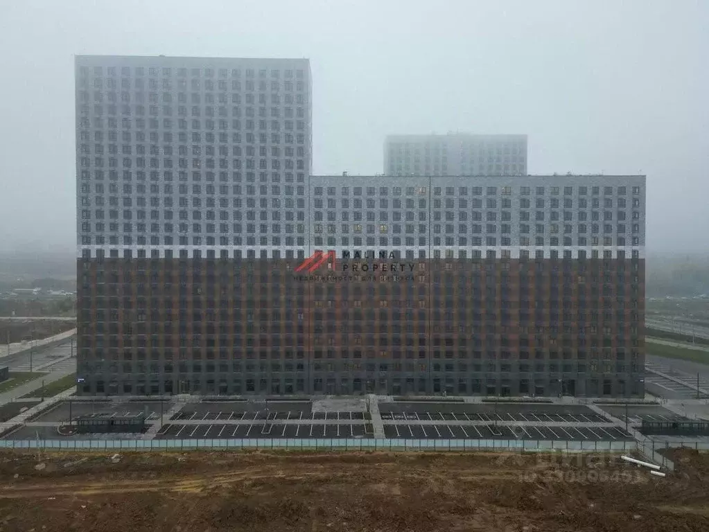 Торговая площадь в Московская область, Ленинский городской округ, ... - Фото 2