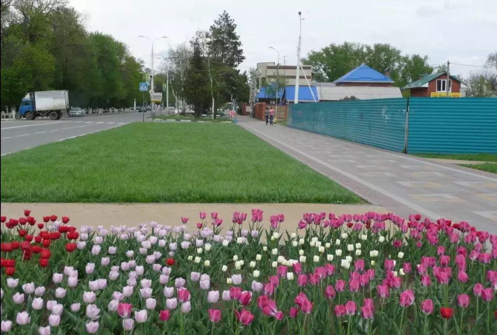 Участок в Краснодарский край, Тихорецк Пролетарская ул. (18.6 сот.) - Фото 1