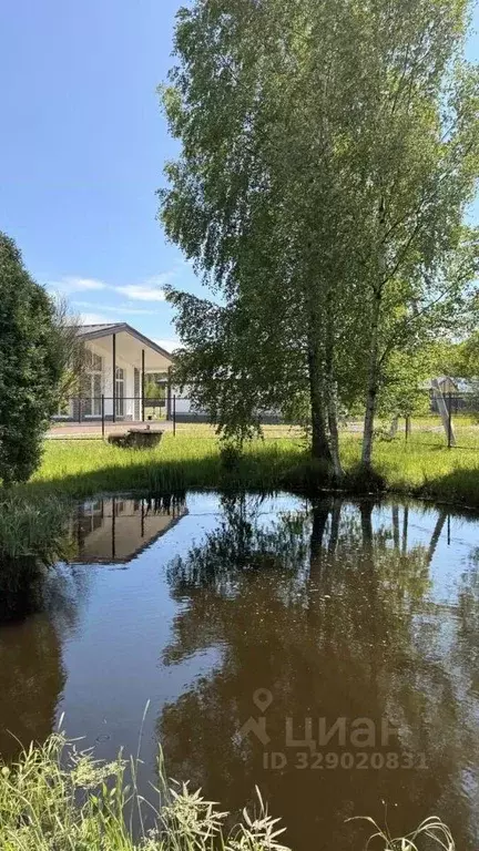 Участок в Ленинградская область, Ломоносовский район, Низинское с/пос, ... - Фото 1