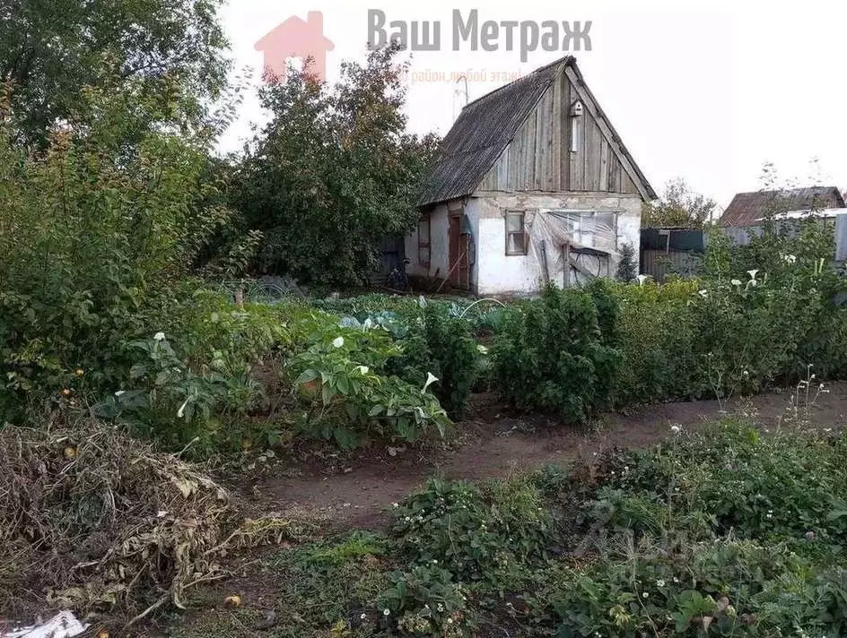 Дом в Оренбургская область, Бузулук Дружба СНТ,  (25 м) - Фото 0