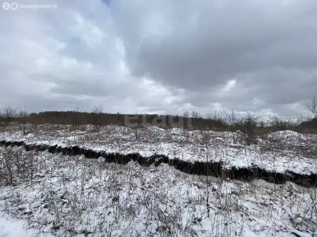 Участок в посёлок Васильевский, Лесная улица (6906.28 м) - Фото 1