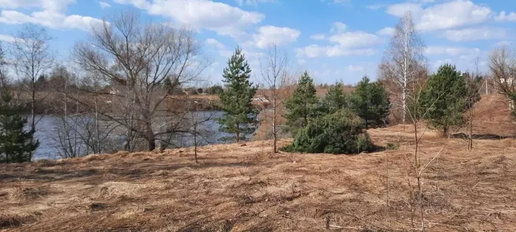 Участок в Новгородская область, Боровичский район, д. Егла Зеленый ... - Фото 1