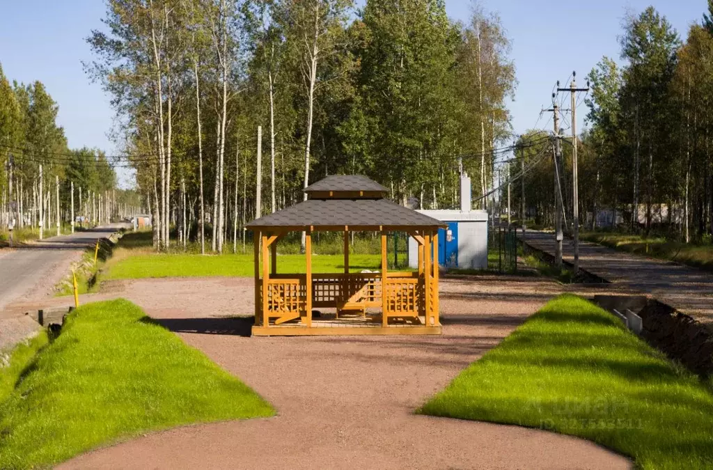 Участок в Санкт-Петербург, Санкт-Петербург, Павловск Павлов Скай кп, ... - Фото 1