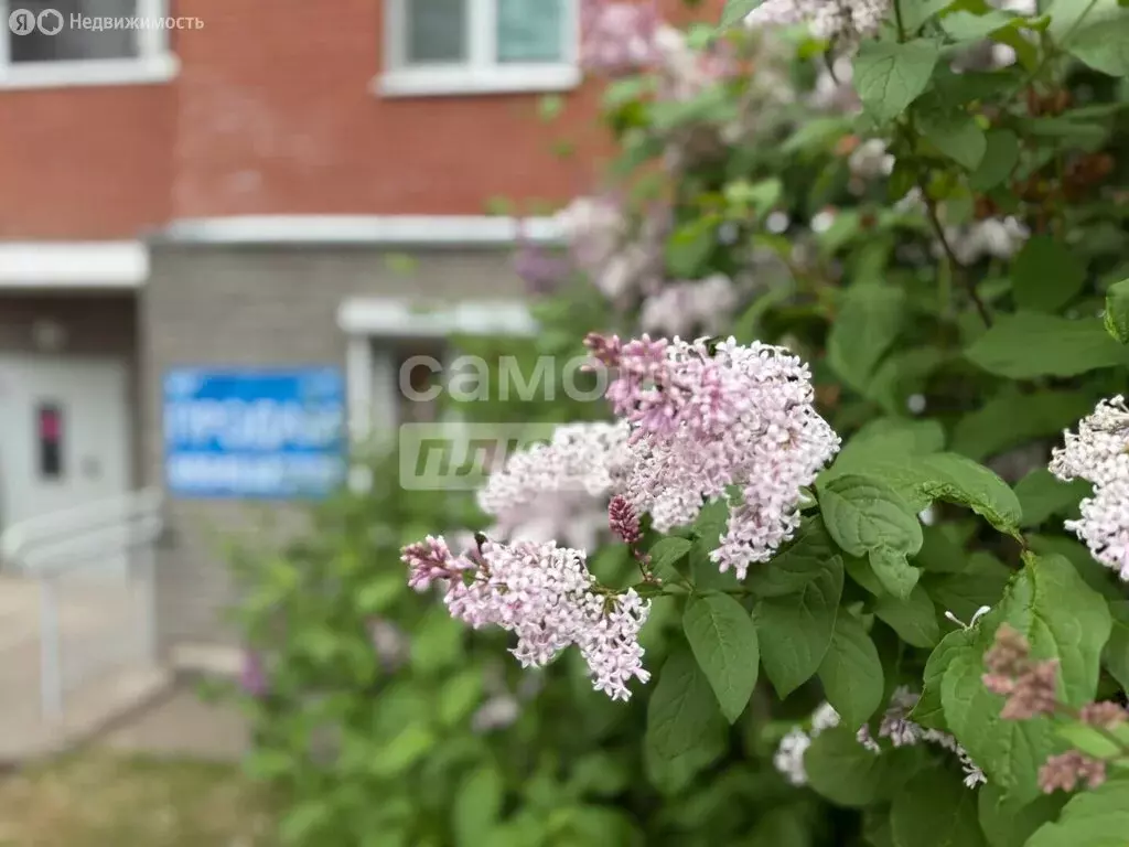 Помещение свободного назначения (58.6 м) - Фото 1