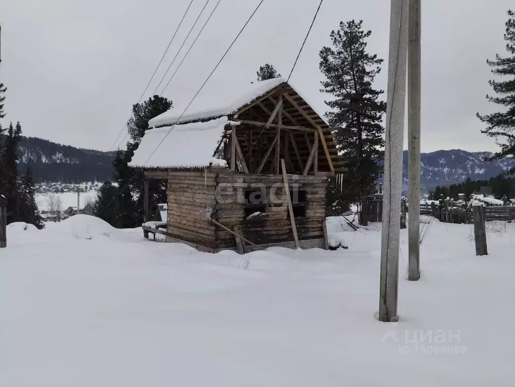 Участок в Алтай, Турочакский район, с. Иогач Лесная ул. (8.0 сот.) - Фото 0