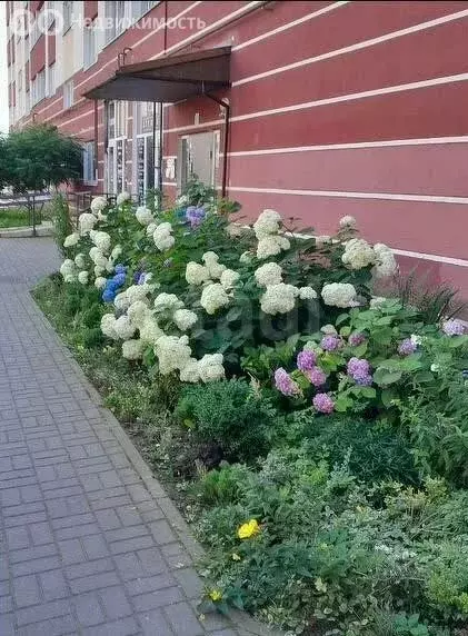 2-комнатная квартира: Калининград, улица Каблукова, 11А (57 м) - Фото 0