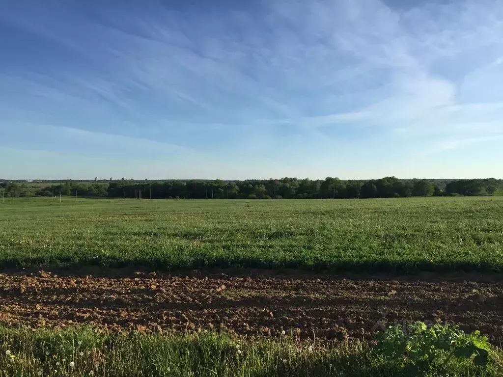 Участок в Москва д. Бакланово,  (6.0 сот.) - Фото 2