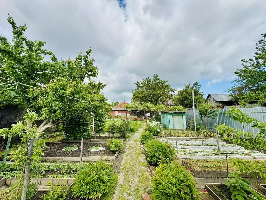 Участок в Краснодарский край, Краснодар Пашковский жилмассив, ул. ... - Фото 2