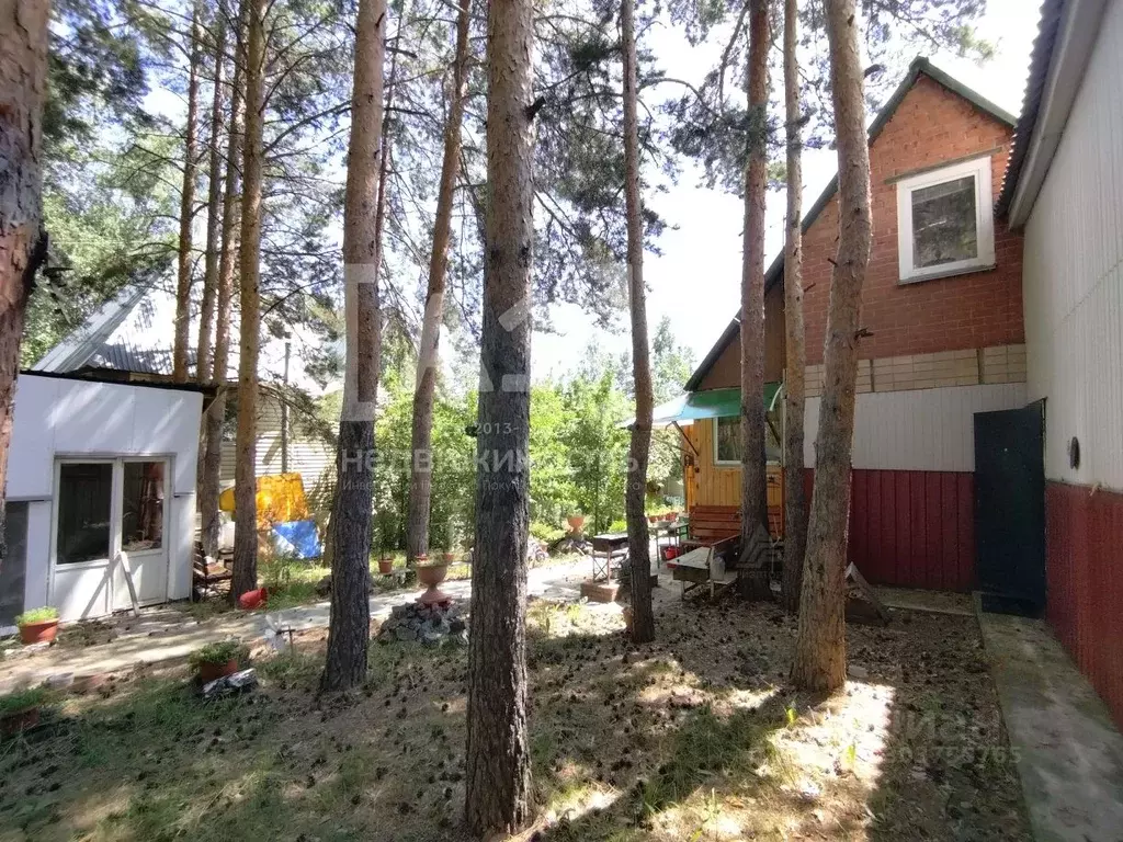 Дом в Челябинская область, Сосновский район, Саргазинское с/пос, ... - Фото 1