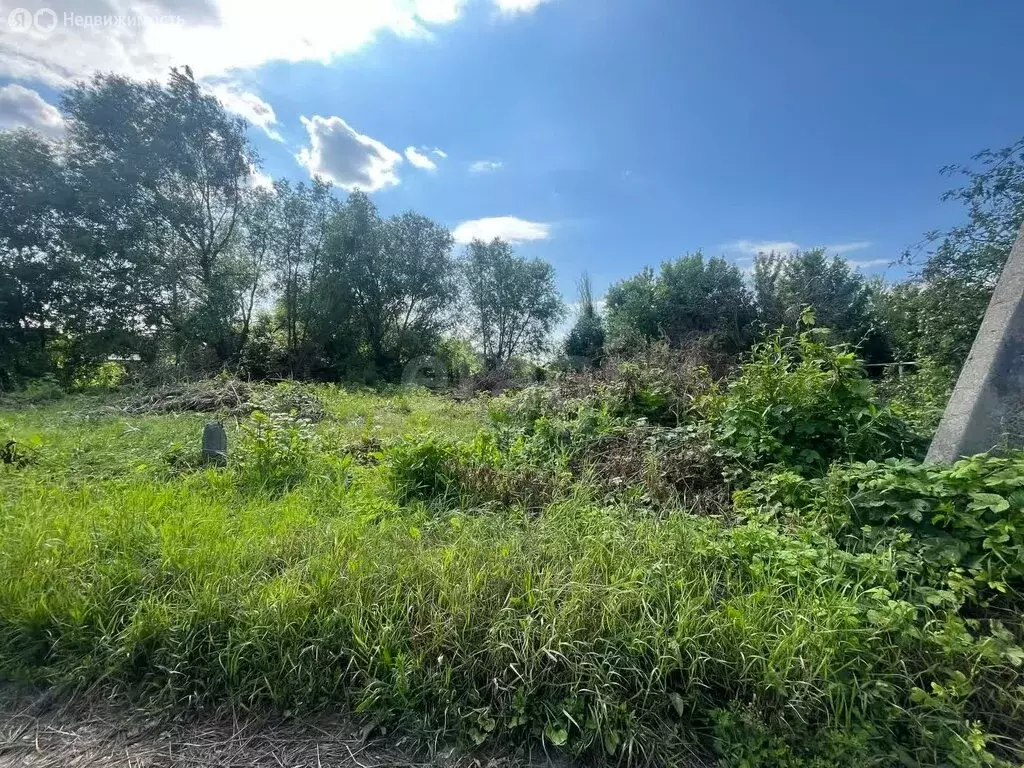 Участок в Борисоглебск, улица Фрунзе (12.8 м) - Фото 0