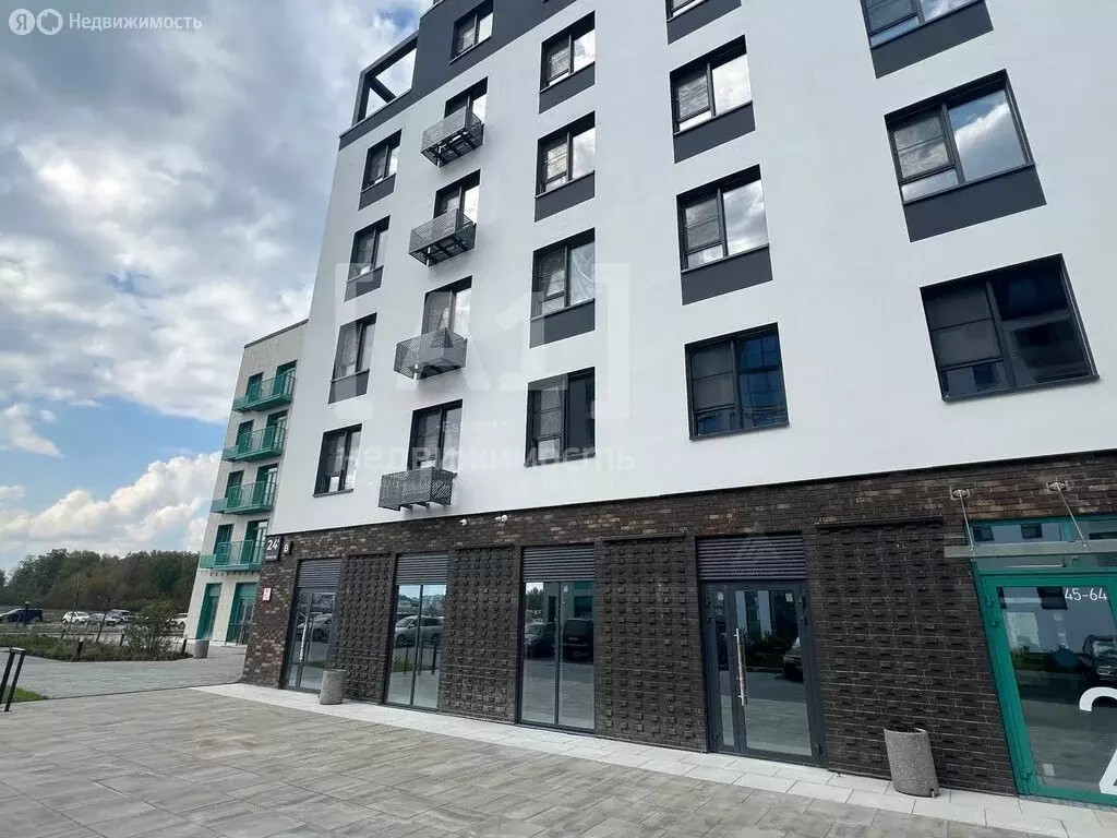 Торговая площадь (81 м) - Фото 2