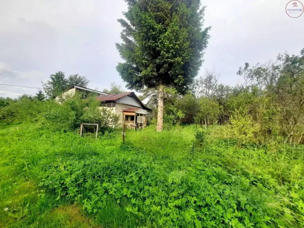 Дом в Ярославская область, Некрасовское с/пос, д. Горки 69 (30 м) - Фото 2