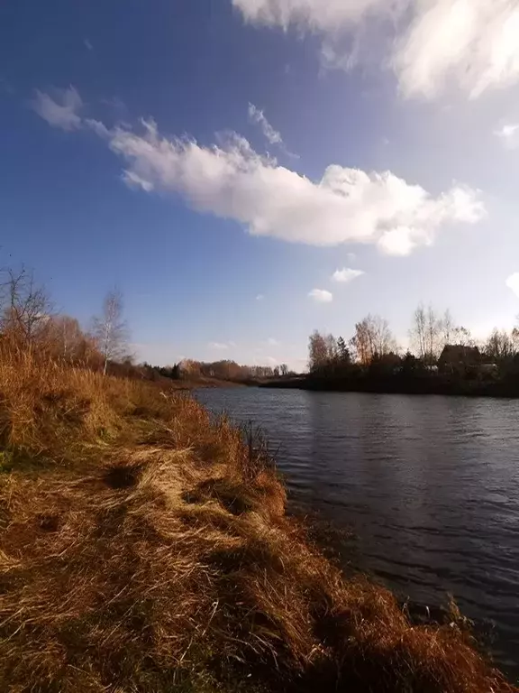 Дом в Тульская область, Веневский муниципальный округ, д. Залесово ул. ... - Фото 2