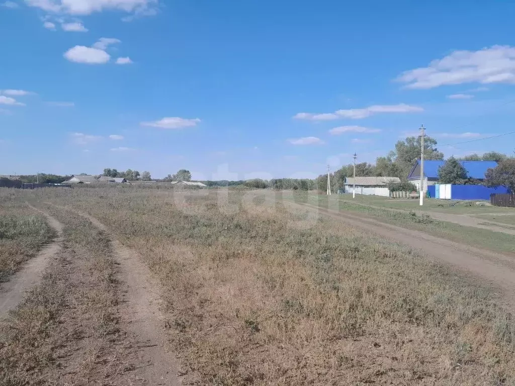 Участок в Оренбургская область, Саракташский район, Черноотрожский ... - Фото 1