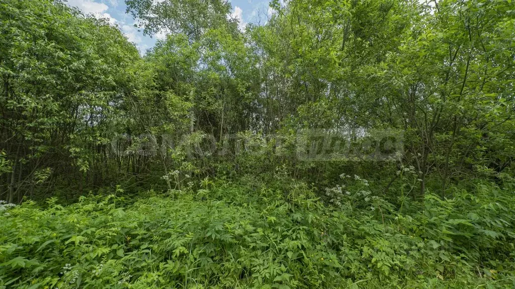 Участок в Московская область, Наро-Фоминский городской округ, Мечта ... - Фото 2