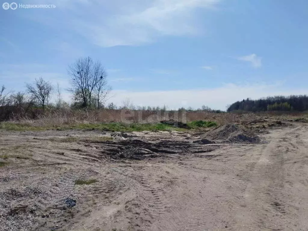 Участок в Зеленоградск, Харьковская улица (10 м) - Фото 2