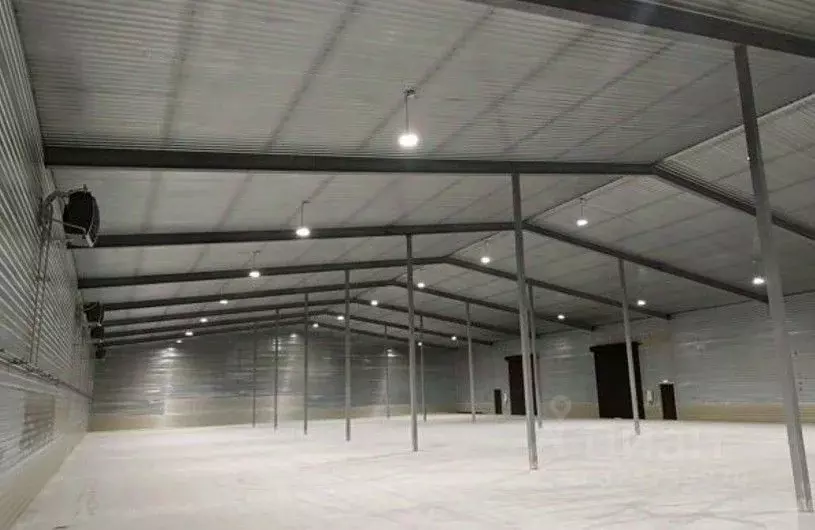 Склад в Ленинградская область, Тельмана Тосненский район, ул. ... - Фото 2