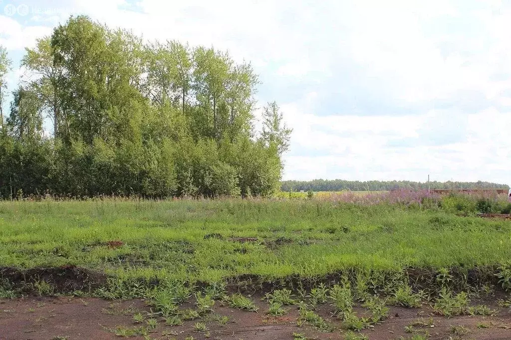 Участок в Тюменский район, коттеджный посёлок Новокаменский, улица ... - Фото 0