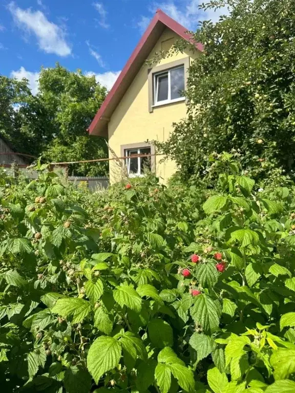 Дом в Калининградская область, Гурьевский муниципальный округ, пос. ... - Фото 1