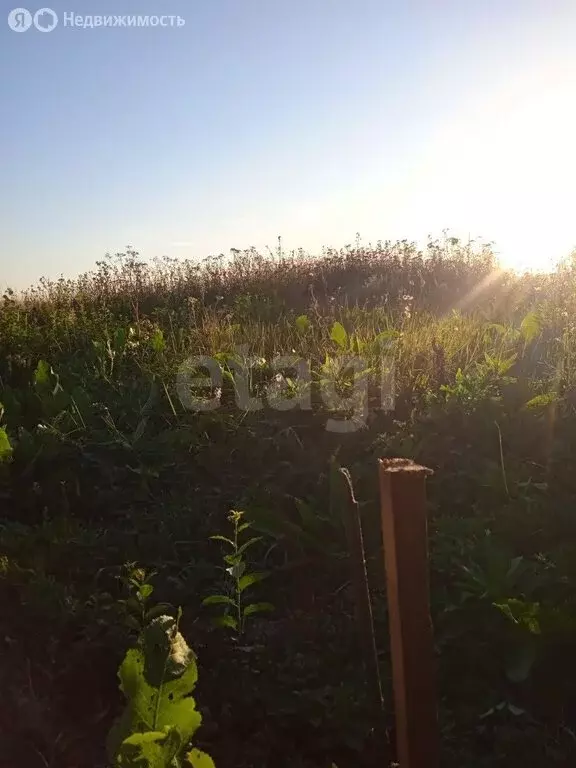 Участок в Тульская область, Венёвский муниципальный округ, деревня ... - Фото 1