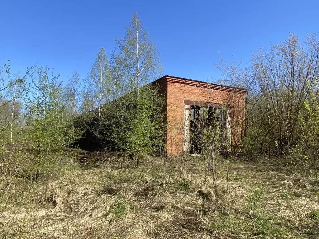 Помещение свободного назначения в Нижегородская область, Балахнинский ... - Фото 0