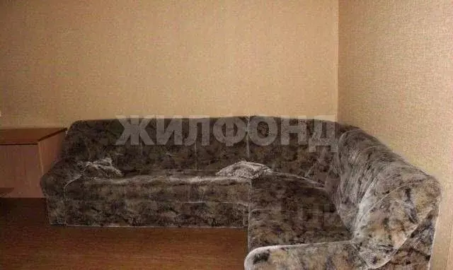 2-к кв. Новосибирская область, Новосибирск ул. Сибиряков-Гвардейцев, ... - Фото 1