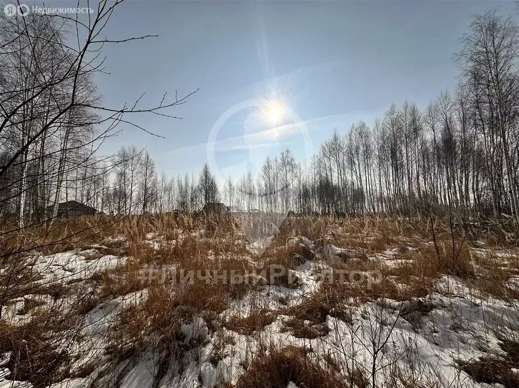 Участок в Рязанский район, Дубровическое сельское поселение, село ... - Фото 0