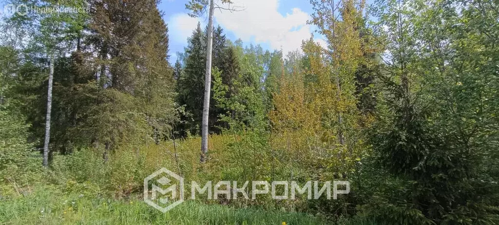Участок в Рахьинское городское поселение, СНТ Василек (12 м) - Фото 1