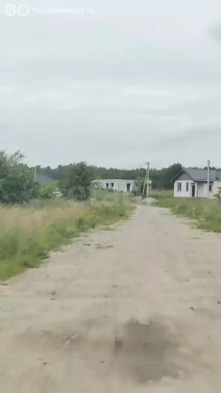 Участок в Калининградская область, Багратионовский муниципальный ... - Фото 0