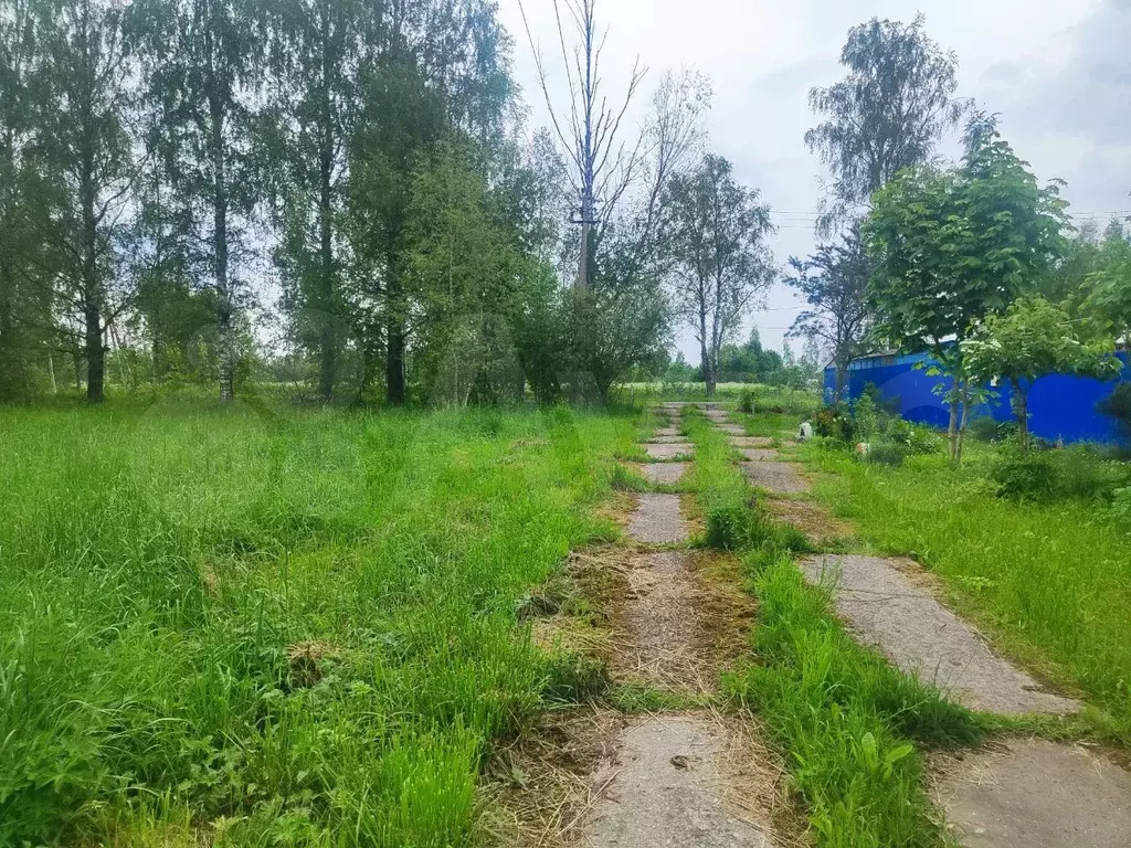 Участок 10 сот. (ИЖС) - Фото 1