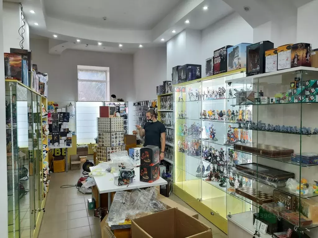 Помещение свободного назначения в Пензенская область, Пенза Московская ... - Фото 2