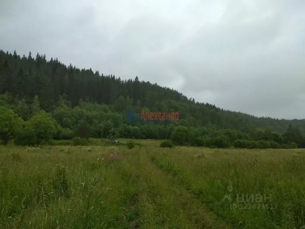 Участок в Карелия, Лахденпохский муниципальный округ, пос. Микли  ... - Фото 0